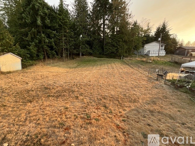 A field with dry grass and trees in the background.