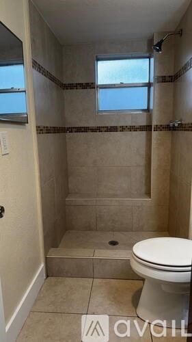 A bathroom with a toilet and a walk-in shower.