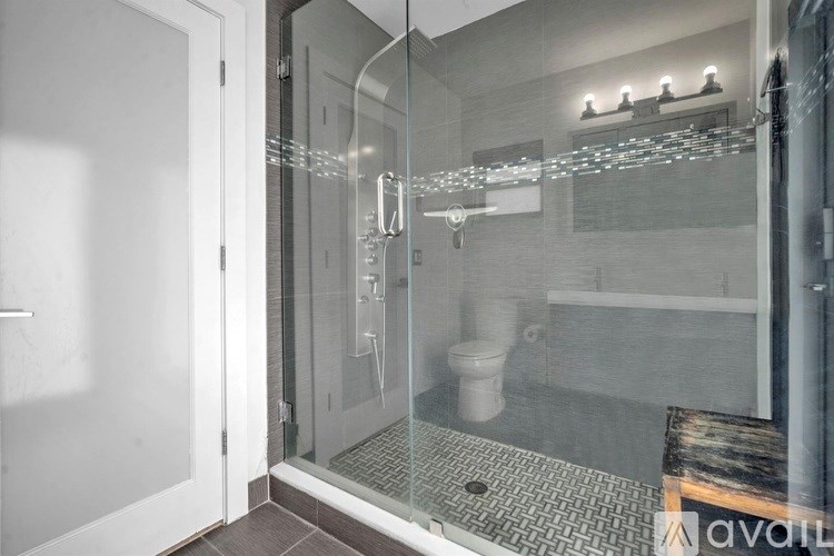 A bathroom with a walk-in shower and a toilet.