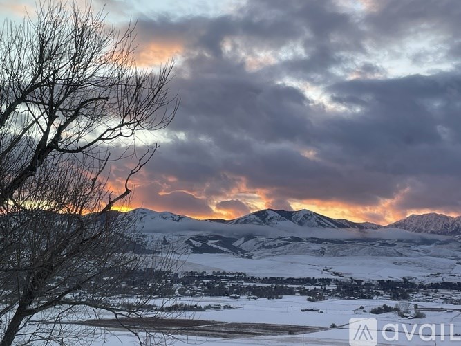 A landscape with a tree in the foreground and snowy mountains in the background.