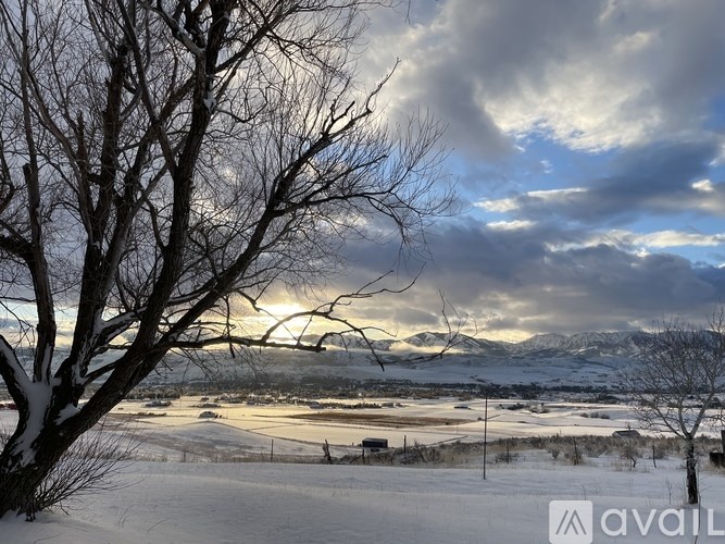 A tree stands in the snow with a cloudy sky above.