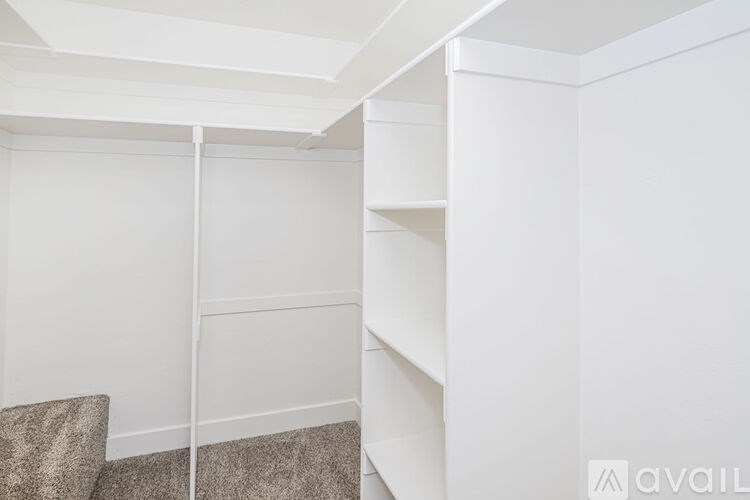 A white closet with shelves and a carpeted floor.