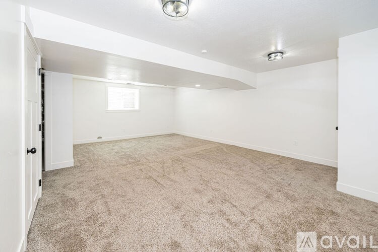 A room with a carpeted floor and a window.