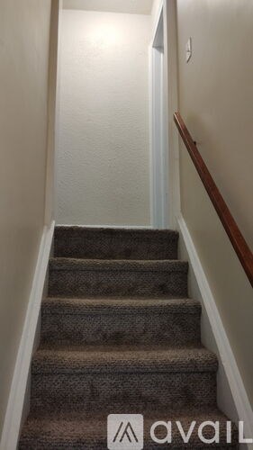 A staircase with a carpeted runner and wooden handrail.