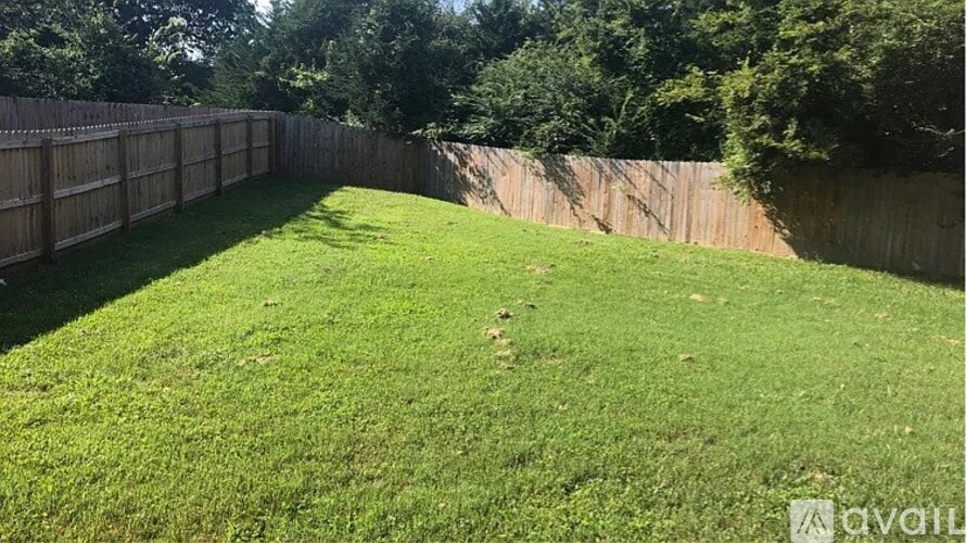 A backyard with a wooden fence and green grass.