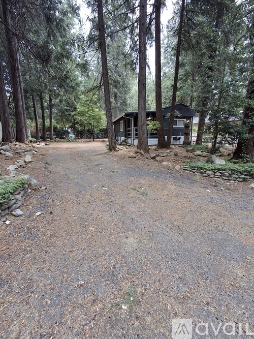A gravel path leads to a cabin in a wooded area.