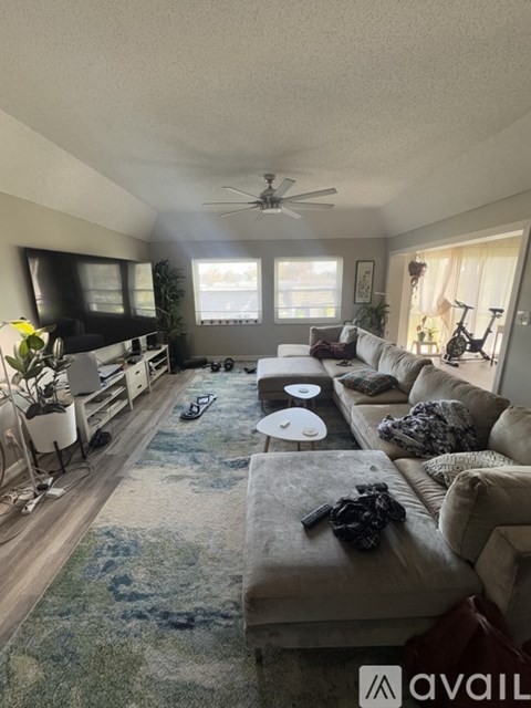 A living room with a grey sofa and a blue rug.