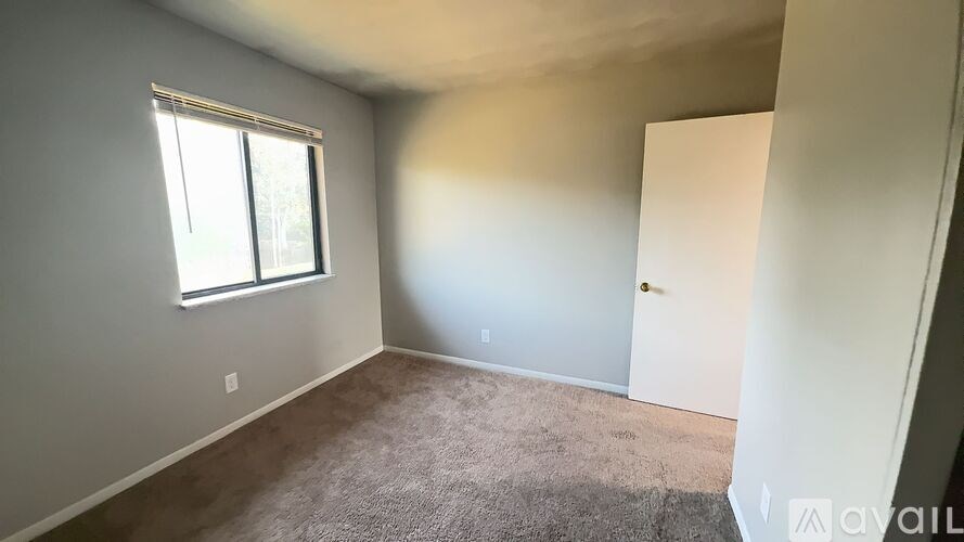 A room with a carpeted floor and a window letting in natural light.