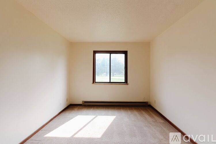 A room with a window and a carpet on the floor.