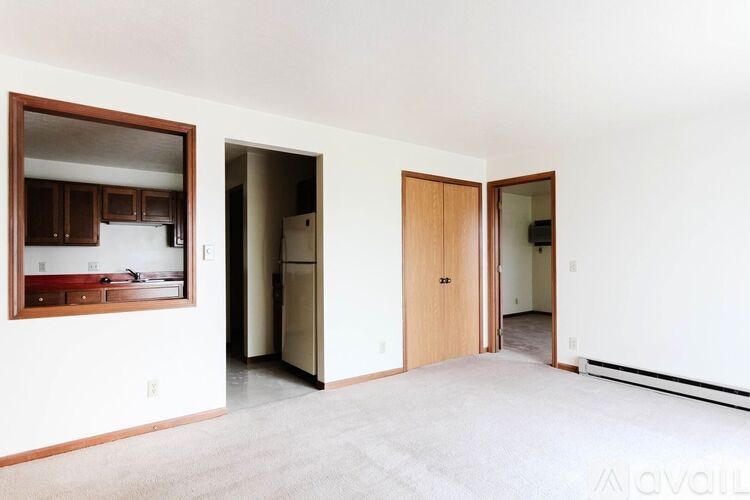 A living room with a kitchen in the background and a carpet on the floor.