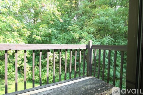 A wooden balcony overlooks a lush green forest.