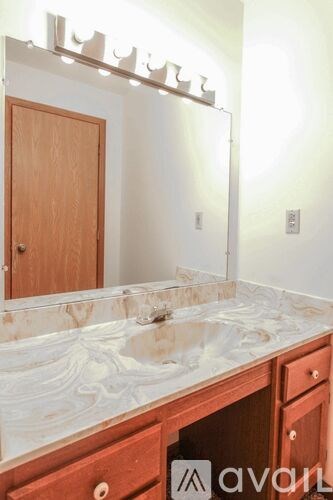 A bathroom with a marble counter top and a wooden door.