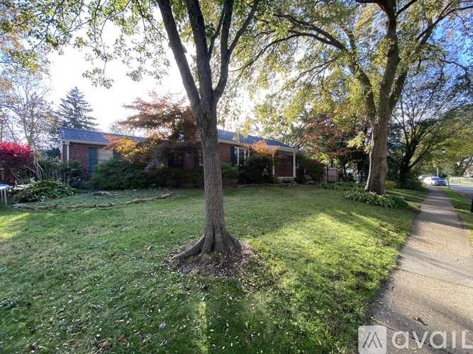 A tree in a yard with a house in the background.