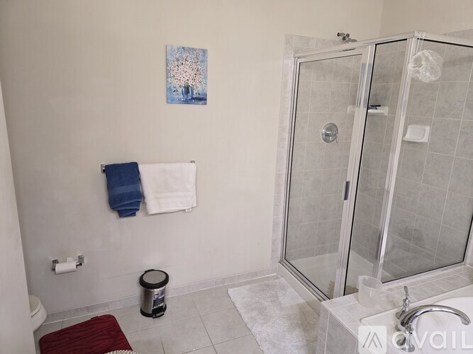A bathroom with a glass shower door and a red rug on the floor.