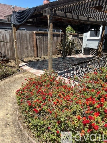 A garden with red flowers and a wooden fence.