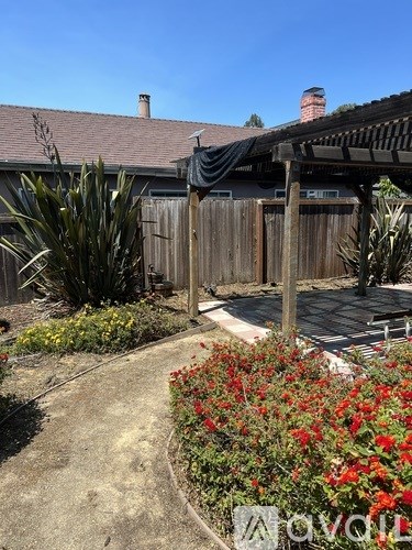 A backyard with a wooden fence and a flower bed.