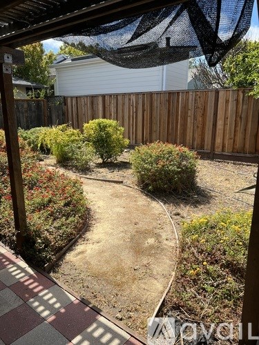 A backyard with a wooden fence and a bush.