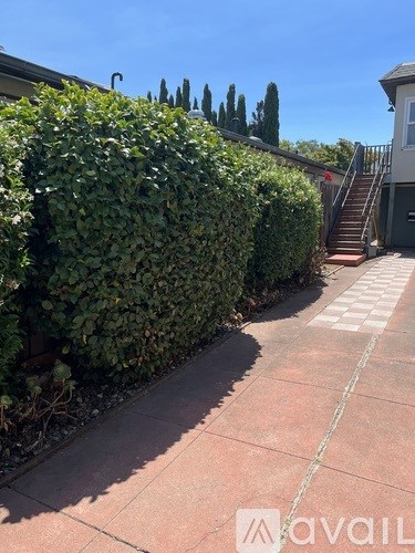A sidewalk with a hedge and steps leading to a house.