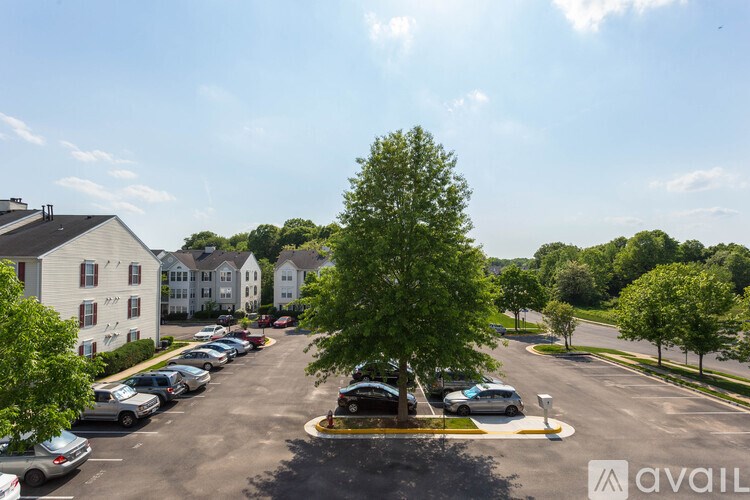A parking lot with cars and a tree in the middle.