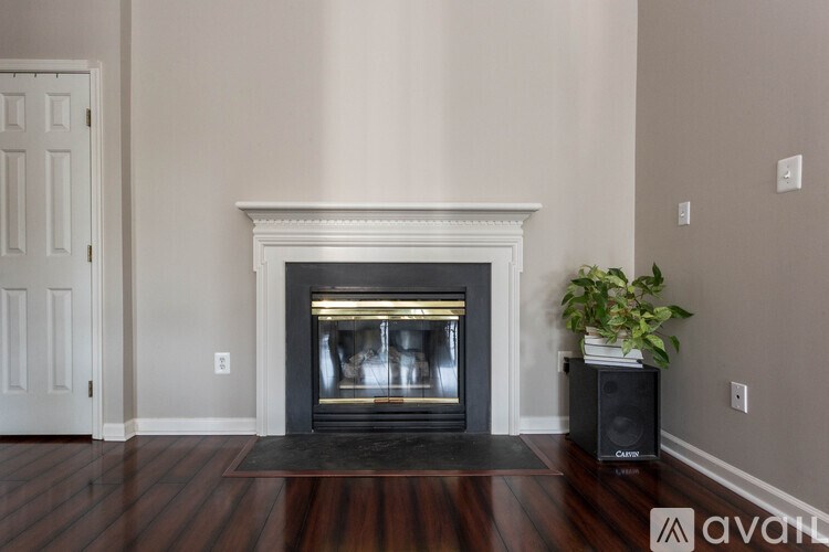 A living room with a fireplace and a plant.