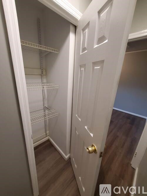 A white door with a gold handle is open to a pantry with shelves.