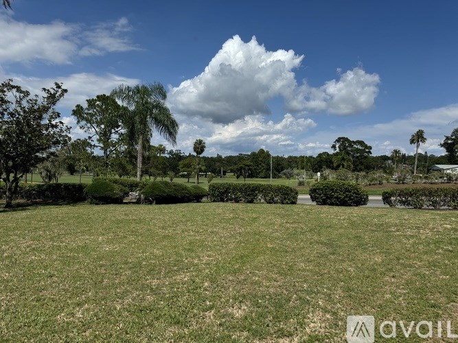 A grassy field with trees and bushes in the background.