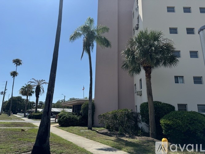 A palm tree stands in front of a white building.