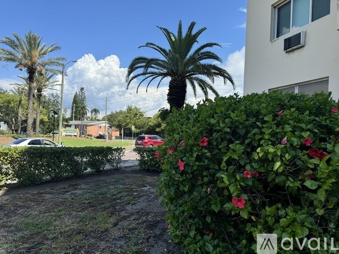 A red car is parked in a driveway with a palm tree and bushes in the foreground.