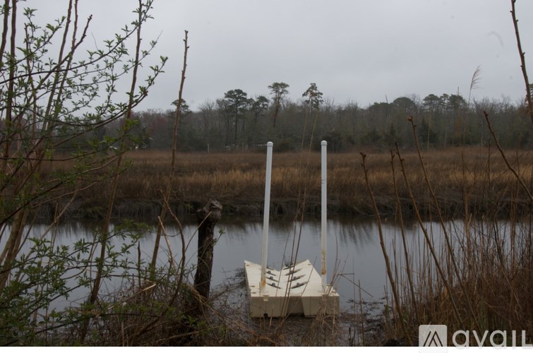 Two white poles sticking out of a concrete slab in a marshy area.