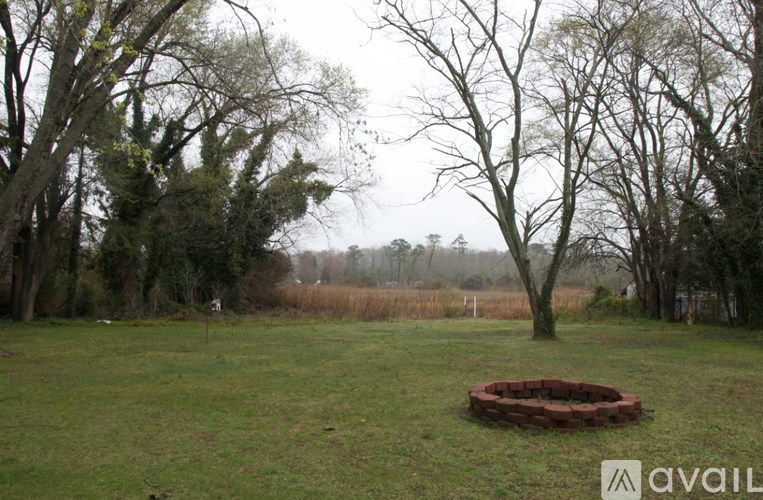 A tree stands in a circle of bricks in a grassy field.