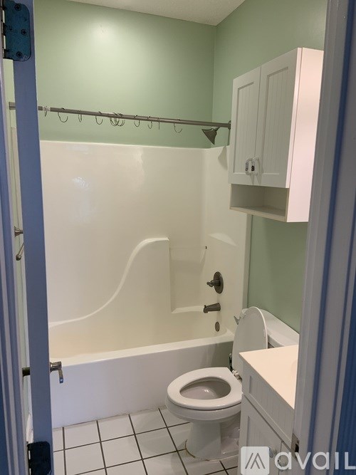 A bathroom with a toilet, a bathtub, and a cabinet.