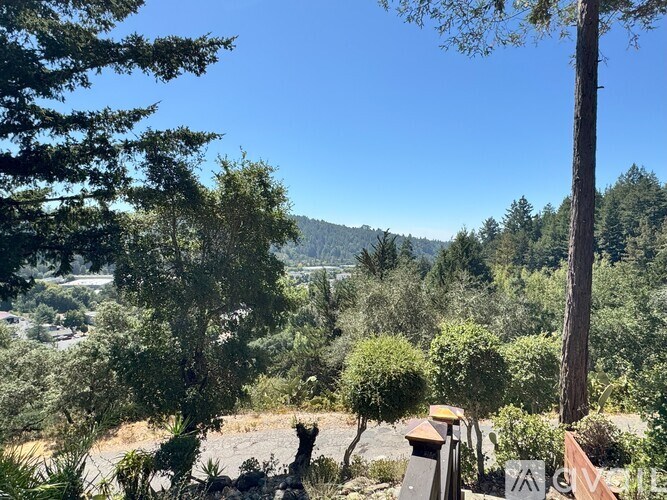 A landscape view with trees and a clear sky.
