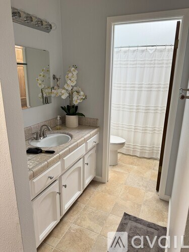A bathroom with a sink, toilet, and a mirror.