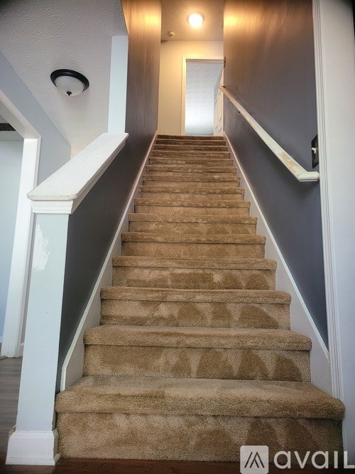 A staircase with beige carpeted steps and white railings.