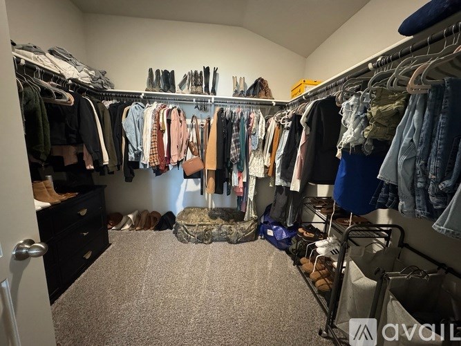 A room with a carpeted floor and a large closet full of clothes and shoes.