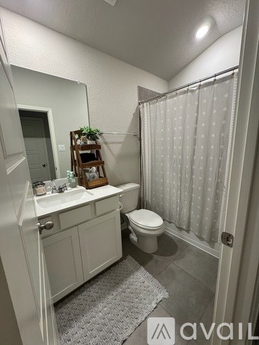 A bathroom with a toilet, sink, and shower curtain.