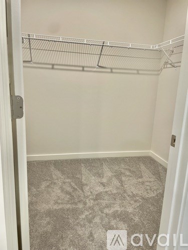 A white closet with a carpeted floor and a metal rod for hanging clothes.