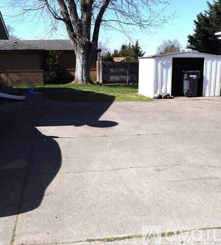 A white shed sits in a driveway with a black trash can in front of it.
