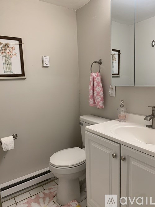 A bathroom with a toilet, sink, and a towel hanging on the towel rack.