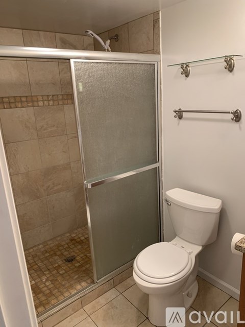 A bathroom with a toilet and a walk-in shower.