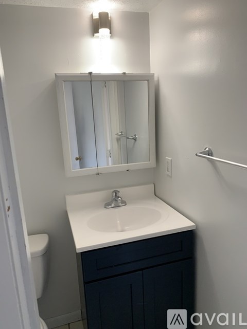 A bathroom with a white sink and a mirror above it.