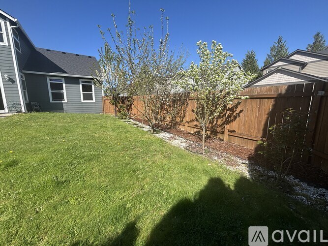 A backyard with a green lawn and a tree with white flowers.