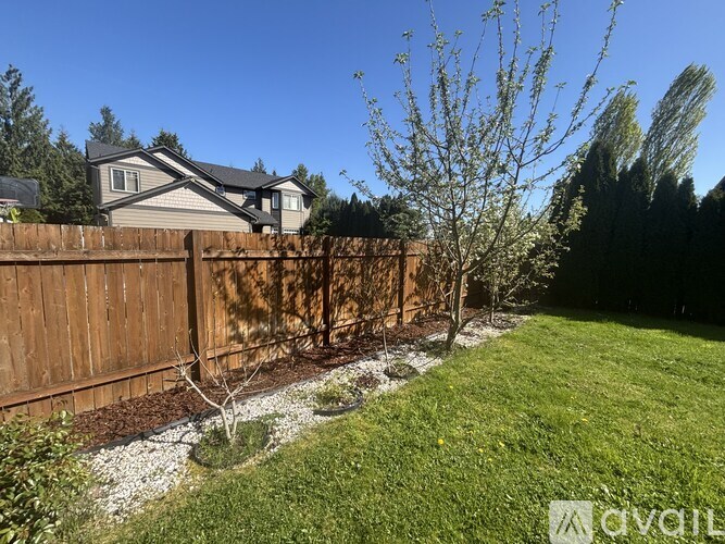 A backyard with a brown fence and a small tree.
