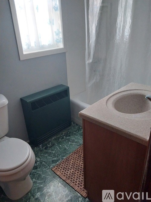A bathroom with a toilet, a sink, and a window.
