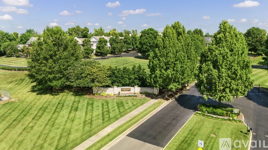 A sign in front of a tree reads "avail".