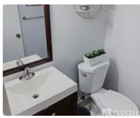 A white sink with a silver faucet and a white toilet with a plant on top.