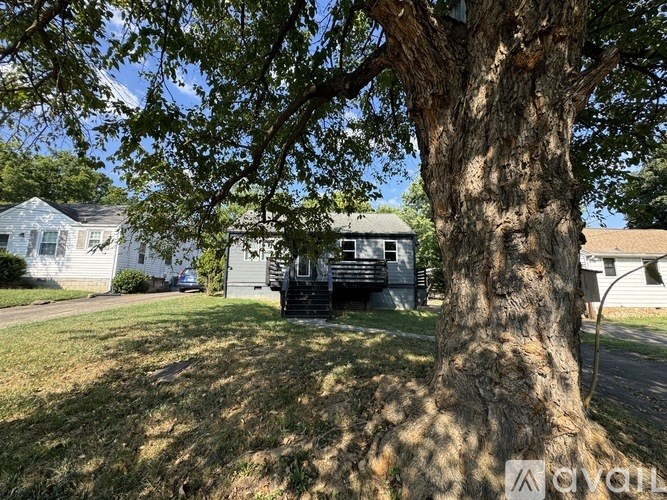 A tree in a yard with a house and a trailer in the background.