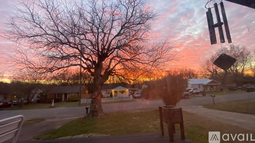 A tree with no leaves stands in front of a house.