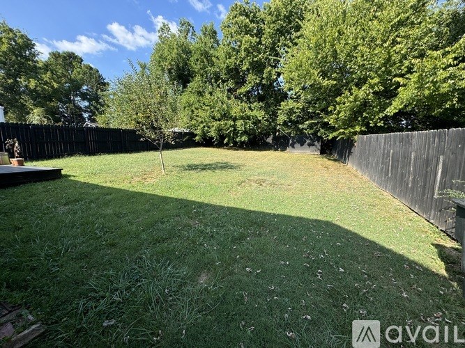 A backyard with a wooden fence and a tree.