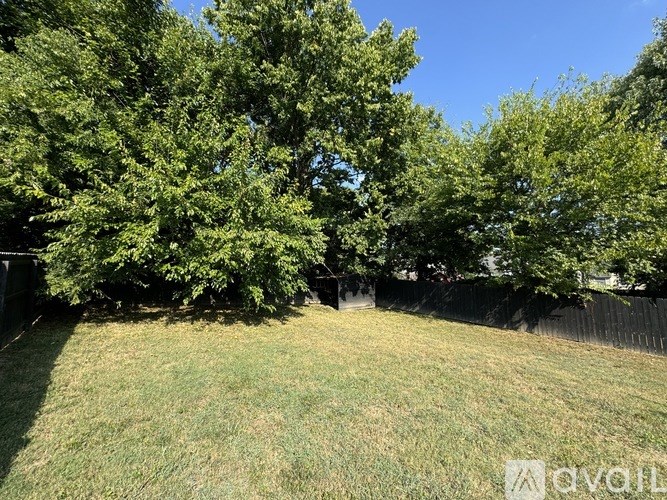 A backyard with a fence and trees.